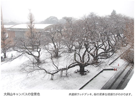 大岡山キャンパスの雪景色　本館前ウッドデッキ。桜の見事な枝振りがわかります。
