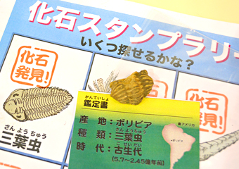 化石スタンプラリー