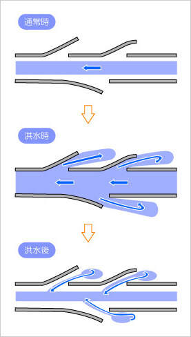 伝統的な治水技術として知られる霞堤の仕組み