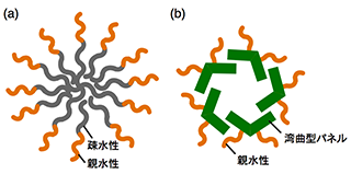 (a) 従来のミセルと (b) 吉沢らが開発したナノカプセルの模式図