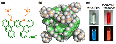 (a) 湾曲型の両親媒性分子の構造 (b) ナノカプセルの立体構造 (c) ナノカプセルと色素を内包したナノカプセルの水溶液の写真（上）と紫外光照射下での写真（下）