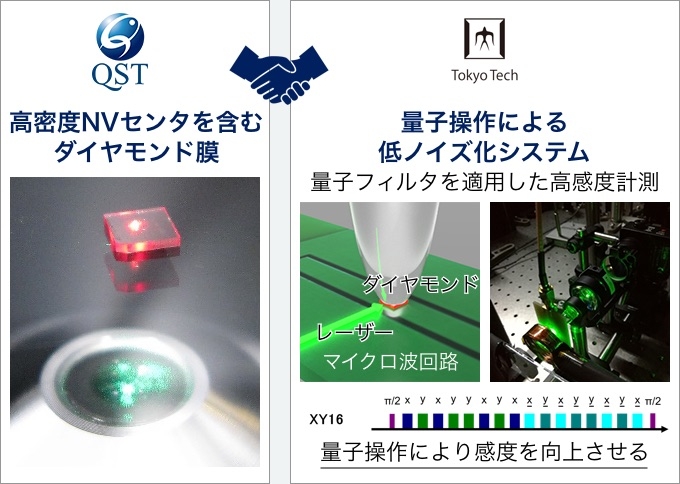 超高感度磁気センサを目指すQSTとのコラボ例