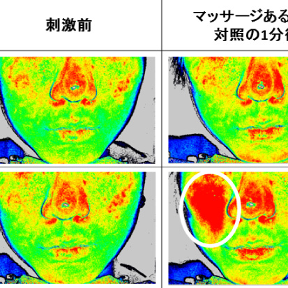 顔のマッサージにより皮膚血流量が増加