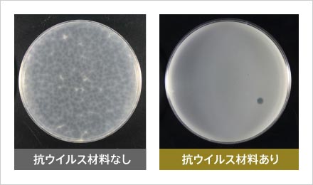 COVID19と同様のエンベロープ型ウイルスに対する抗ウイルス性能（6時間後）。ほぼすべてのプラークが消滅していることが分かる。