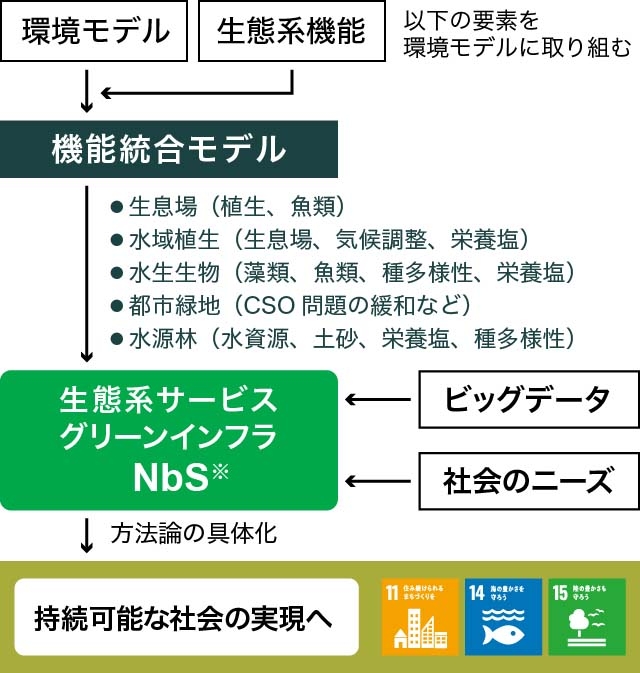 生態系サービスの水域生態系モデルへの統合。各種環境モデルを改良・統合し、生態系機能や生態系サービスを定量的に評価可能とすることで、持続可能な社会の実現に貢献する。※ Nature-based Solutions（自然に根ざした社会課題の解決策）