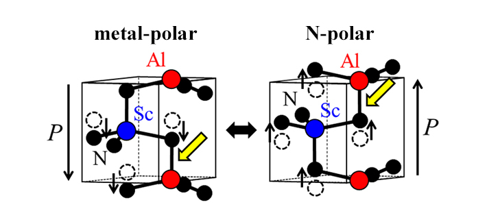 窒化アルミニウムスカンジウム強誘電体の模式図