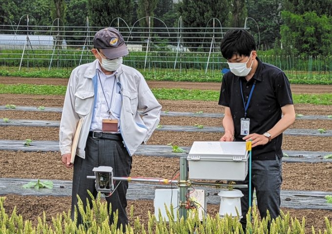 北海道大学 大学院農学研究院 野口伸教授（左）と共に、同大学敷地内の小麦畑で実証実験を行っている様子。松浦さん（右）の手元の機材には、ELTRESの通信端末が入っている。