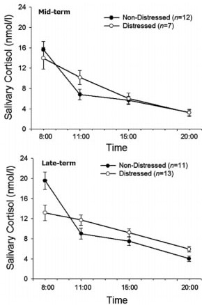 図3：妊娠中期、後期の2つのグループにおける唾液中コルチゾール分泌の日内変化。コルチゾールのレベルは朝高く、日中にかけて低下する（●）。慢性ストレスがあると、この変化が顕著でなくなる（○）。