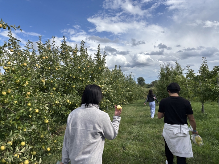 Apple picking with my roommate