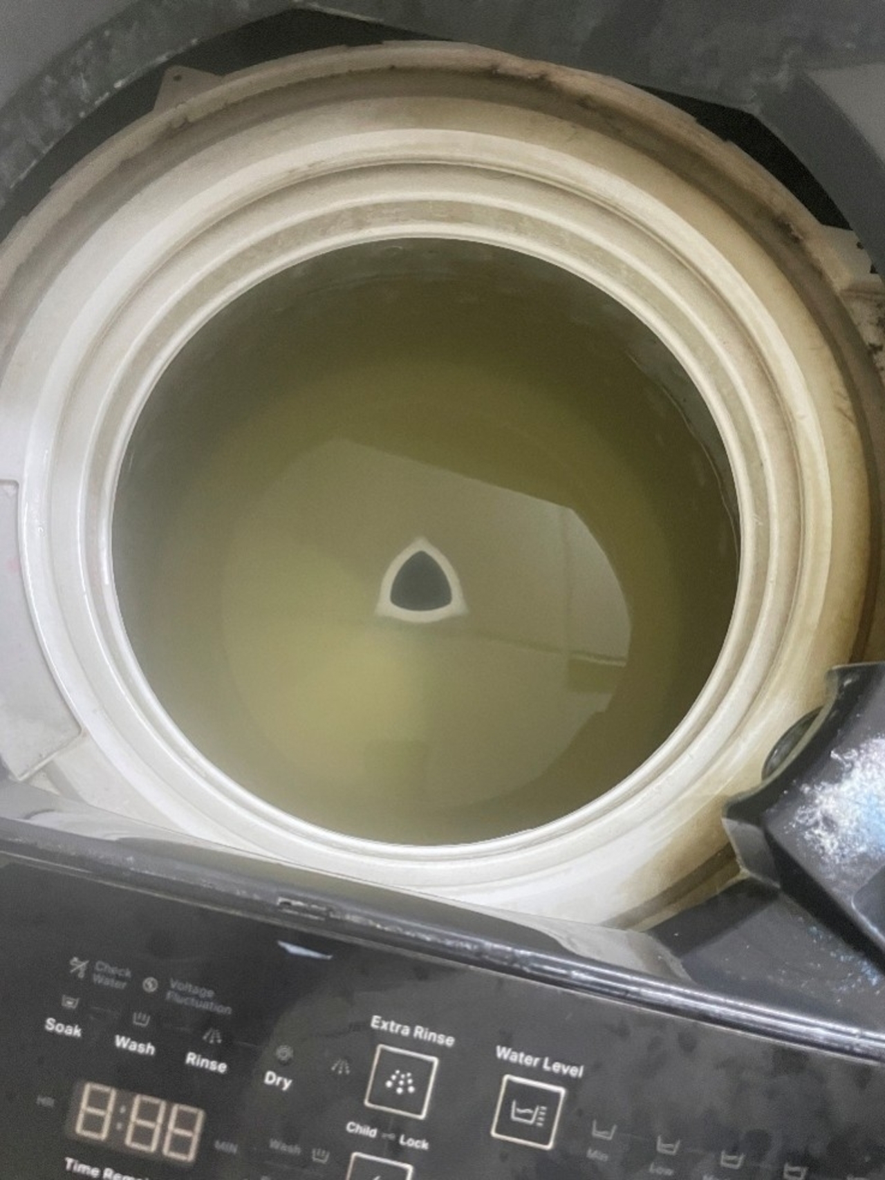洗濯前の洗濯機の水