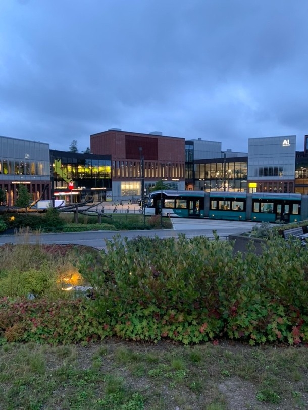 派遣交換留学 アアルト大学 2024年8月23日~2025年7月18日