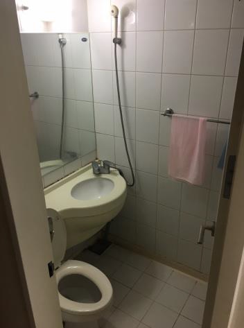 図3. トイレ兼シャワー部屋(バスタブは無い)