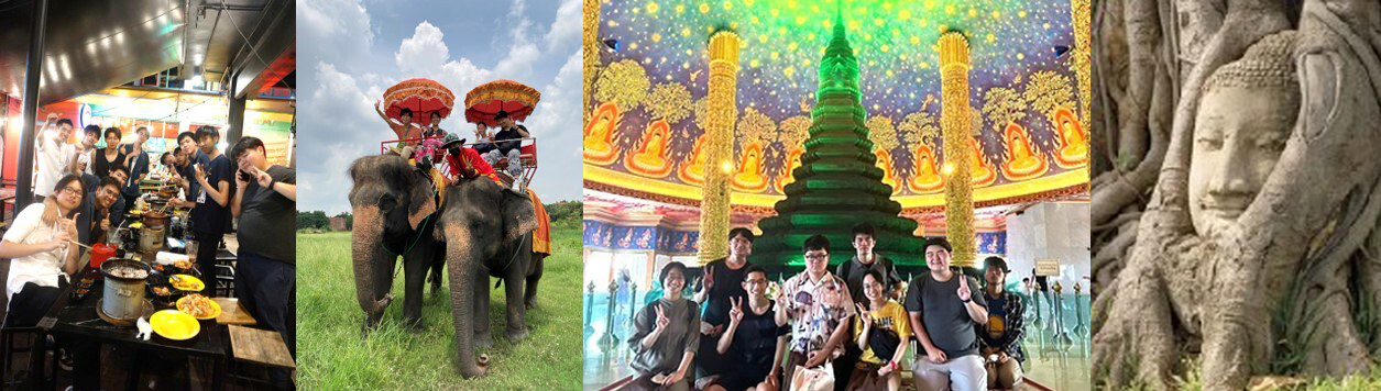 thaitthp1-1.png