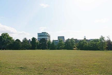 大学所有の広大な公園