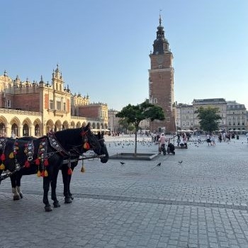 IAESTE/理工系学生のための国際インターンシップ (ポーランド共和国 2025年8月11日~2025年9月19日)