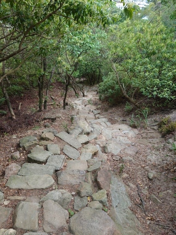 かなりキツイ山を登っていた