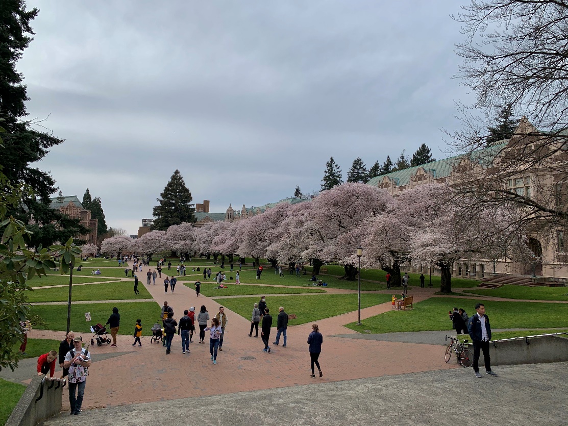 派遣交換留学 ワシントン大学 2019年1月6日-2020年6月22日