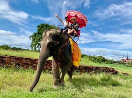 タイでは象も立派な交通手段